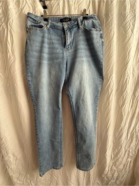 Judy Blue Light Blue Straight Leg Jeans